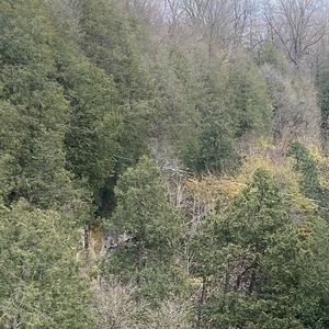 Meet your Posher, Kiera